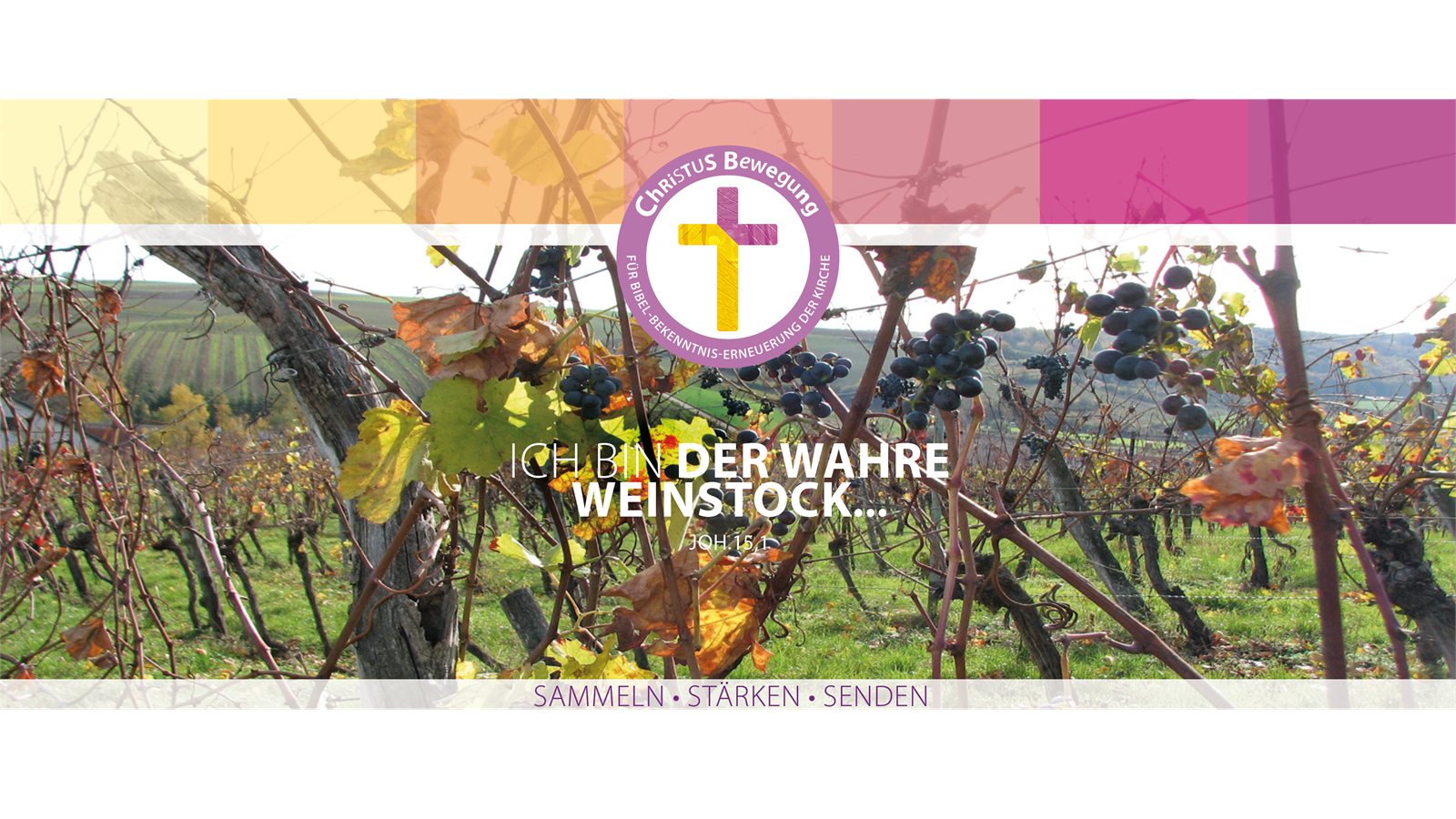 Ich bin der wahre Weinstock — Johannes 15,1